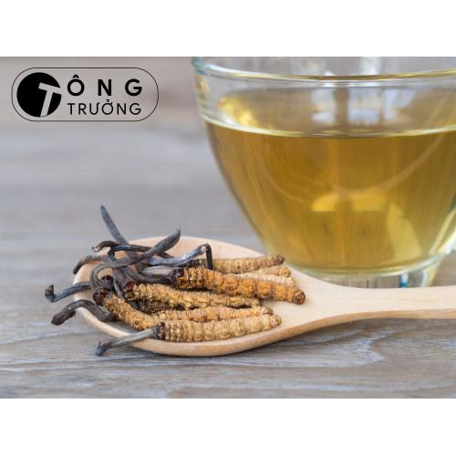 Một Số Phương Pháp Sử Dụng Đông Trùng Hạ Thảo Tăng Cường Sức Khỏe